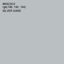 #BAC0C2 - Silver Sand Color Image